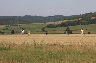 IMG 5982